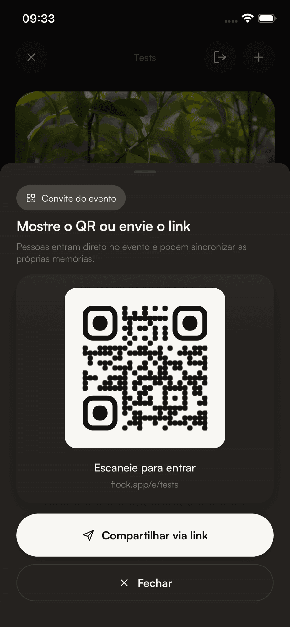 Tela do Flock mostrando o QR do evento e botão Compartilhar via link